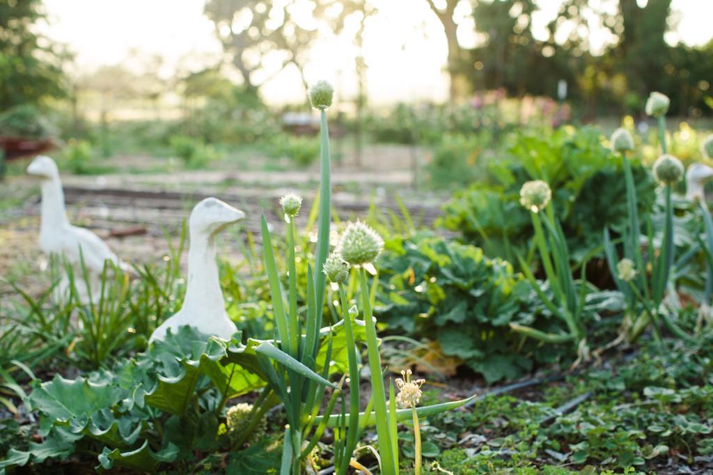 Napa Farmhouse Inn St. Helena Zewnętrze zdjęcie