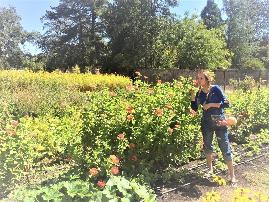 Napa Farmhouse Inn St. Helena Zewnętrze zdjęcie