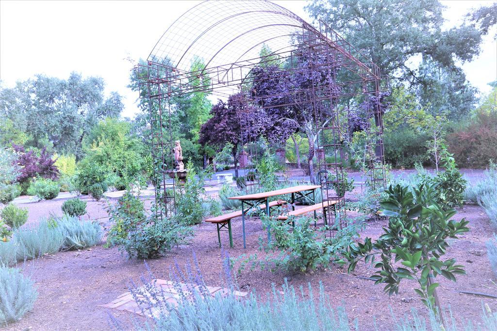 Napa Farmhouse Inn St. Helena Zewnętrze zdjęcie