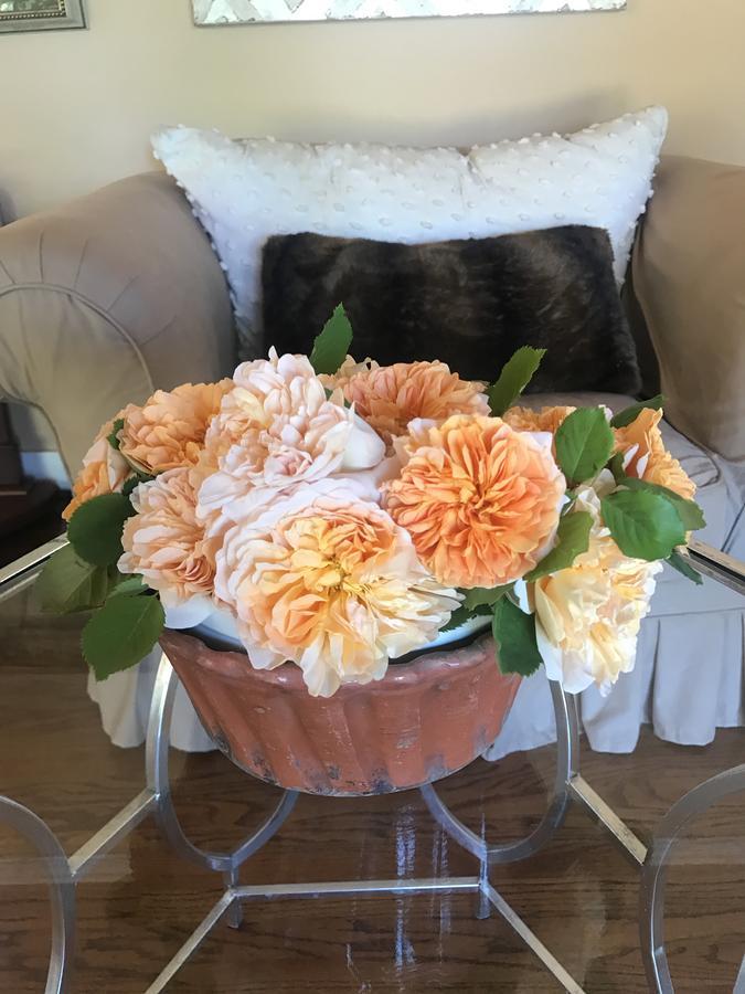 Napa Farmhouse Inn St. Helena Zewnętrze zdjęcie
